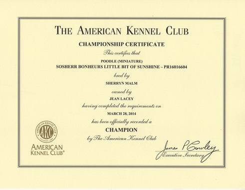 Loula AKC Champion Certificate