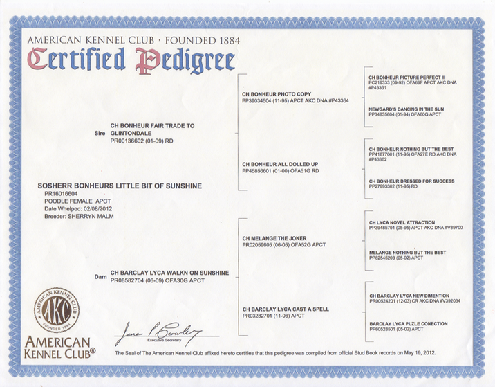 Loula's Pedigree