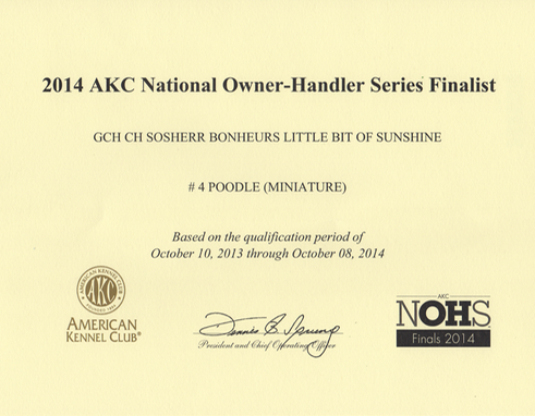 Owner Handler Finalist