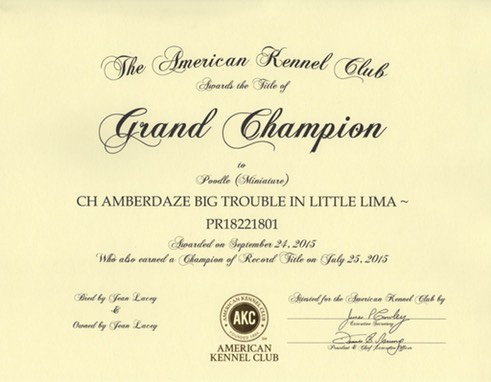 thumb Loki Grand Champion Certifiate 4 1024